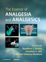 essence of analgesia